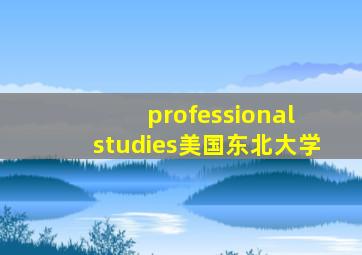 professional studies美国东北大学